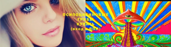 mdma Ельня