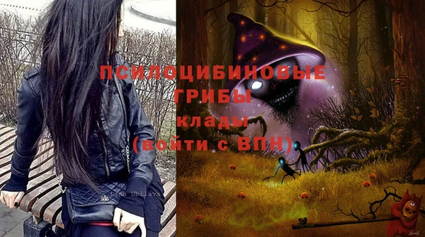 стаф Абдулино