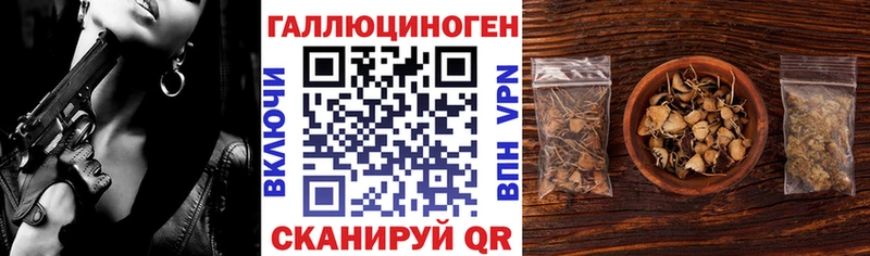 продажа наркотиков  Алатырь  Галлюциногенные грибы Psilocybine cubensis 